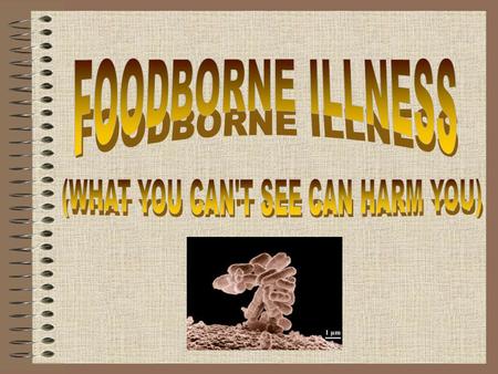 Did you know? According to the Center for Disease Control: 76 million become ill due to food / year 325,000 hospitalized 5000 die / year > 250 known.