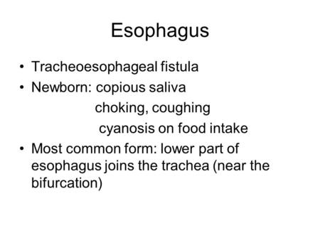 Esophagus Tracheoesophageal fistula Newborn: copious saliva choking, coughing cyanosis on food intake Most common form: lower part of esophagus joins the.