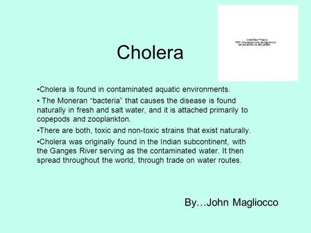 Cholera Cholera is found in contaminated aquatic environments. The Moneran “bacteria” that causes the disease is found naturally in fresh and salt water,