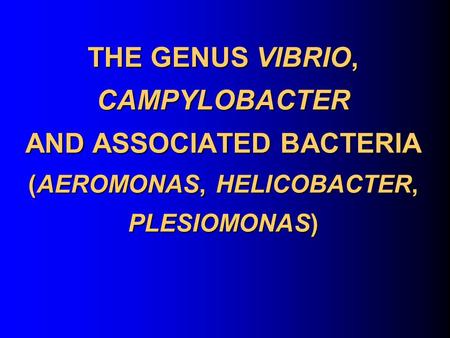 THE GENUS VIBRIO, CAMPYLOBACTER AND ASSOCIATED BACTERIA (AEROMONAS, HELICOBACTER, PLESIOMONAS)