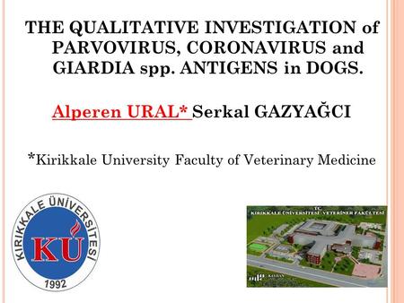 THE QUALITATIVE INVESTIGATION of PARVOVIRUS, CORONAVIRUS and GIARDIA spp. ANTIGENS in DOGS. Alperen URAL* Serkal GAZYAĞCI * Kirikkale University Faculty.