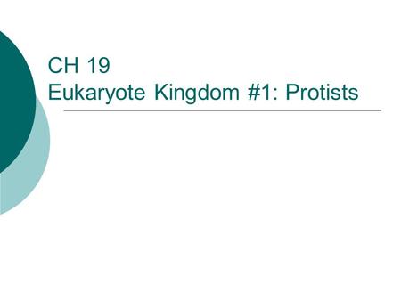 CH 19 Eukaryote Kingdom #1: Protists. Eukaryote Kingdom #1: Protista “The Junk Drawer Kingdom”  One-celled (mostly)  Eukaryotic (have organelles) 
