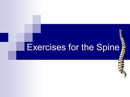 Exercises for the Spine. Abdominal Exercises Effective sit-ups emphasis lumbar flexion of the abdominal muscles Hip flexor muscles (e.g. iliopsoas) can.