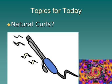 Topics for Today  Natural Curls?. Topics for Today  How do proteins get their shape?