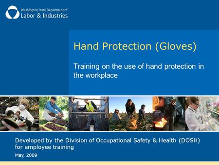 Hand Protection (Gloves) Training on the use of hand protection in the workplace Developed by the Division of Occupational Safety & Health (DOSH) for employee.