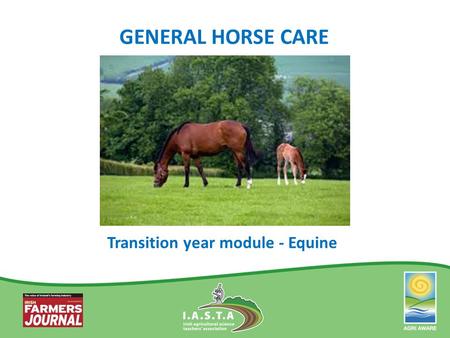 GENERAL HORSE CARE Transition year module - Equine.