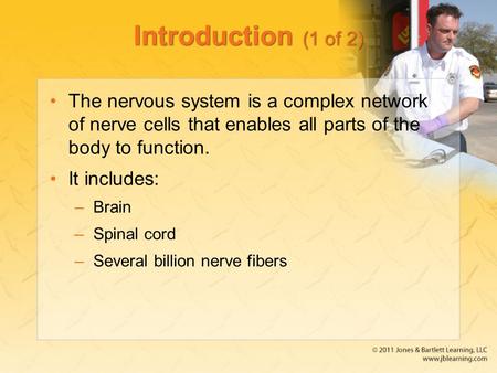 Introduction (1 of 2) The nervous system is a complex network of nerve cells that enables all parts of the body to function. It includes: Brain Spinal.
