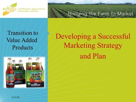 11/11/08 Developing a Successful Marketing Strategy and Plan Transition to Value Added Products.