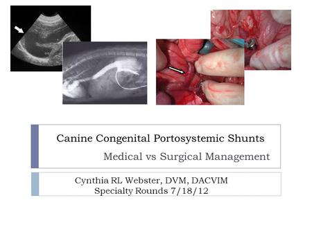 Canine Congenital Portosystemic Shunts Medical vs Surgical Management Cynthia RL Webster, DVM, DACVIM Specialty Rounds 7/18/12.