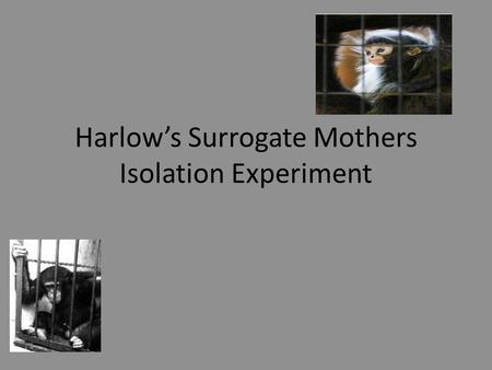 Harlow’s Surrogate Mothers Isolation Experiment. Surrogate Mothers Experiment The purpose of the Surrogate Mother experiments was to determine whether.