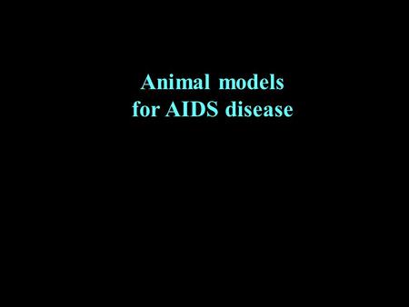 Animal models for AIDS disease. “Laboratory animal experiments and animal models performing in HIV/AIDS biomedical research”