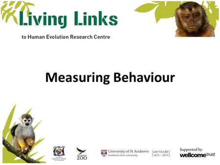 Measuring Behaviour. Learning Outcomes Background Define animal behaviour and discuss what causes it. Understand why we study animal behaviour. Measuring.