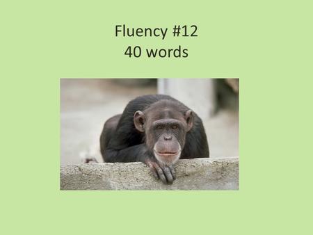 Fluency #12 40 words. Bill and Sally were at the zoo. They were sitting on a bench. Sally was eating peanuts. Monkey tapped Sally on the shoulder. “Excuse.
