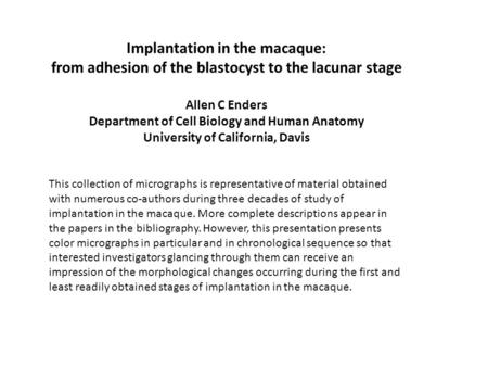 Implantation in the macaque: from adhesion of the blastocyst to the lacunar stage Allen C Enders Department of Cell Biology and Human Anatomy University.