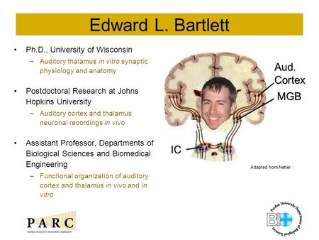 Edward L. Bartlett Ph.D., University of Wisconsin –Auditory thalamus in vitro synaptic physiology and anatomy Postdoctoral Research at Johns Hopkins University.