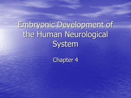 Embryonic Development of the Human Neurological System Chapter 4.