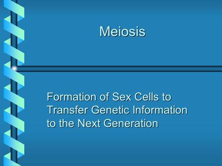 Meiosis Formation of Sex Cells to Transfer Genetic Information to the Next Generation.
