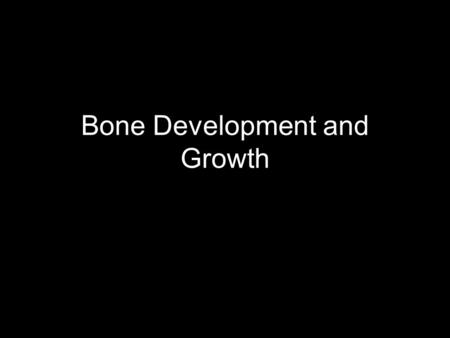 Bone Development and Growth