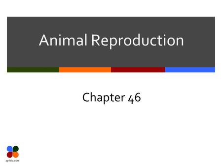 Animal Reproduction Chapter 46.