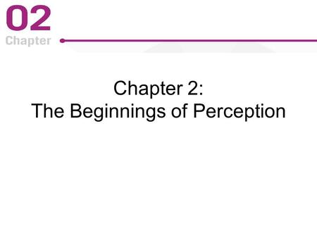Chapter 2: The Beginnings of Perception. Figure 2-1 p22.