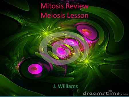 Mitosis Review Meiosis Lesson