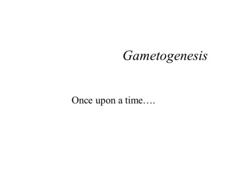 Gametogenesis Once upon a time….. The Germ Plasm Embryos must establish the germ cells as cells which never differentiate until gametogenesis occurs Germ.