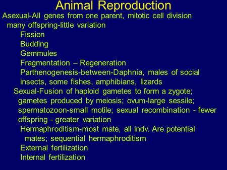 Animal Reproduction Asexual-All genes from one parent, mitotic cell division many offspring-little variation Fission Budding Gemmules Fragmentation – Regeneration.