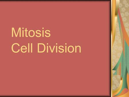 Mitosis Cell Division. Why do cells undergo Cell Division? Cell size- larger cells are less efficient, cells divide to keep cells small Growth of an organism-