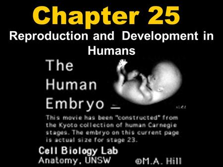 Reproduction and Development in Humans