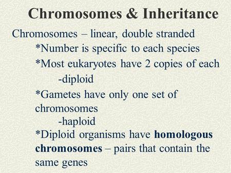 Chromosomes & Inheritance Chromosomes – linear, double stranded *Number is specific to each species *Most eukaryotes have 2 copies of each -diploid *Gametes.