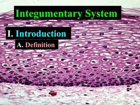 Integumentary System I. Introduction A. Definition.