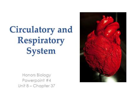 Circulatory and Respiratory System