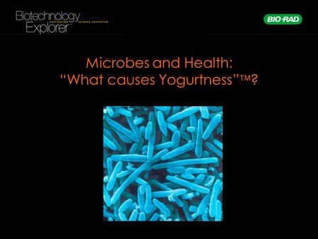 “What causes Yogurtness”?
