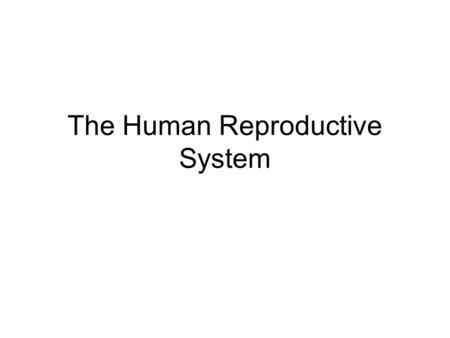 The Human Reproductive System