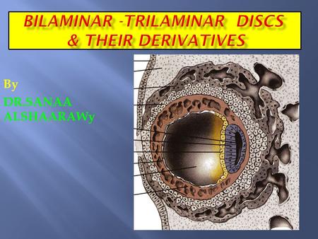 BILAMINAR -TRILAMINAR DISCS & THEIR DERIVATIVES