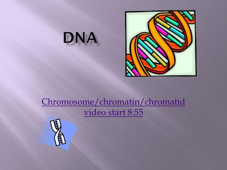 Chromosome/chromatin/chromatid video start 8:55. DNA is Deoxyribonucleic Acid Genetic material that carries the information about an organism and is passed.