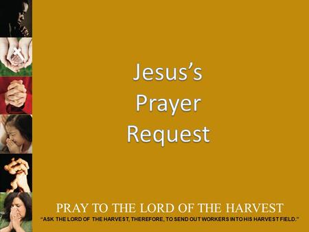 PRAY TO THE LORD OF THE HARVEST “ASK THE LORD OF THE HARVEST, THEREFORE, TO SEND OUT WORKERS INTO HIS HARVEST FIELD.”