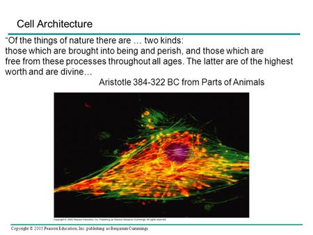 Cell Architecture “Of the things of nature there are … two kinds: