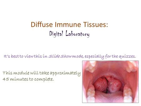Diffuse Immune Tissues: Digital Laboratory It’s best to view this in Slide Show mode, especially for the quizzes. This module will take approximately 45.