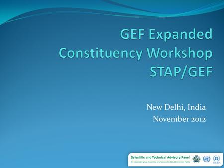 New Delhi, India November 2012. What is STAP? In 1994, the GEF Instrument sets up STAP – “UNEP shall establish, in consultation with UNDP and the World.
