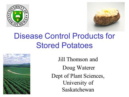 Disease Control Products for Stored Potatoes