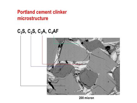 Portland cement clinker microstructure C 3 S, C 2 S, C 3 A, C 4 AF 200 micron.
