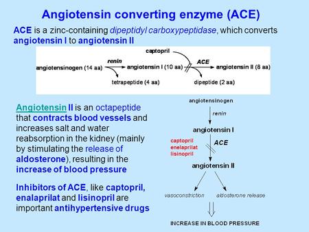 Angiotensin converting enzyme (ACE) ACE is a zinc-containing dipeptidyl carboxypeptidase, which converts angiotensin I to angiotensin II AngiotensinAngiotensin.