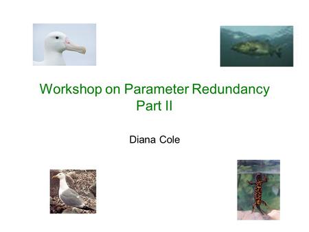 Workshop on Parameter Redundancy Part II Diana Cole.