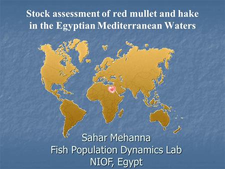 Stock assessment of red mullet and hake in the Egyptian Mediterranean Waters Sahar Mehanna Fish Population Dynamics Lab NIOF, Egypt.
