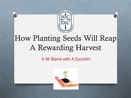 How Planting Seeds Will Reap A Rewarding Harvest It All Starts with A Zucchini.