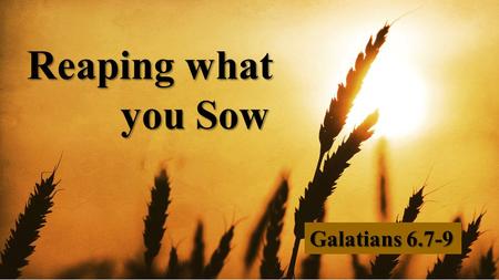 Reaping what you Sow Galatians 6.7-9.