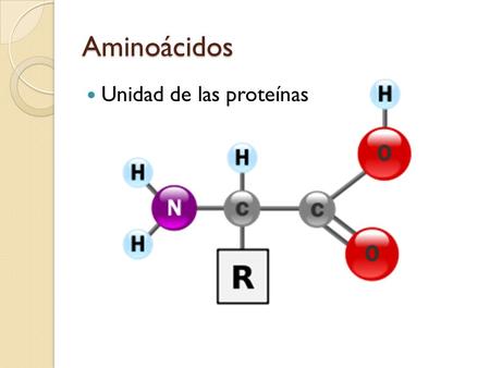 Aminoácidos Unidad de las proteínas. Isómeros Clasificación Esenciales Valina (Val) Leucina (Leu) Isoleucina (Ile) Fenilalanina (Phe) Metionina (Met)
