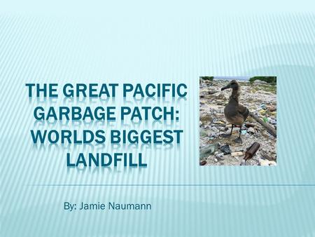 By: Jamie Naumann.  Scientists estimate this large garbage patch is twice the size of Texas!  The United Nations Environment Program estimated in 2006.