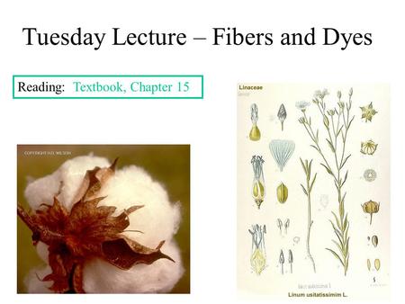 Tuesday Lecture – Fibers and Dyes Reading: Textbook, Chapter 15.